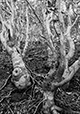 Against the Elements 49